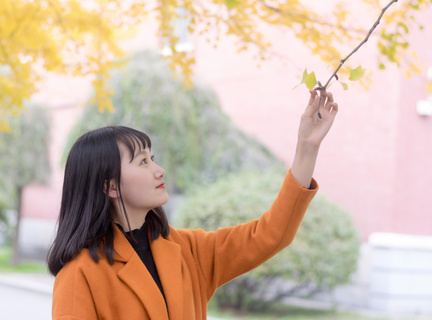 在菲律宾旅行证遗失后可以进行旅行证补办吗